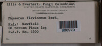 Image Associated With the Occurence